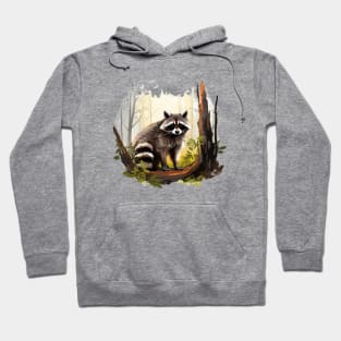 Raccoony Cuteness Hoodie